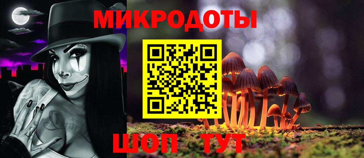 Выборг  Галлюциногенные грибы Magic Shrooms  Вход с VPN 